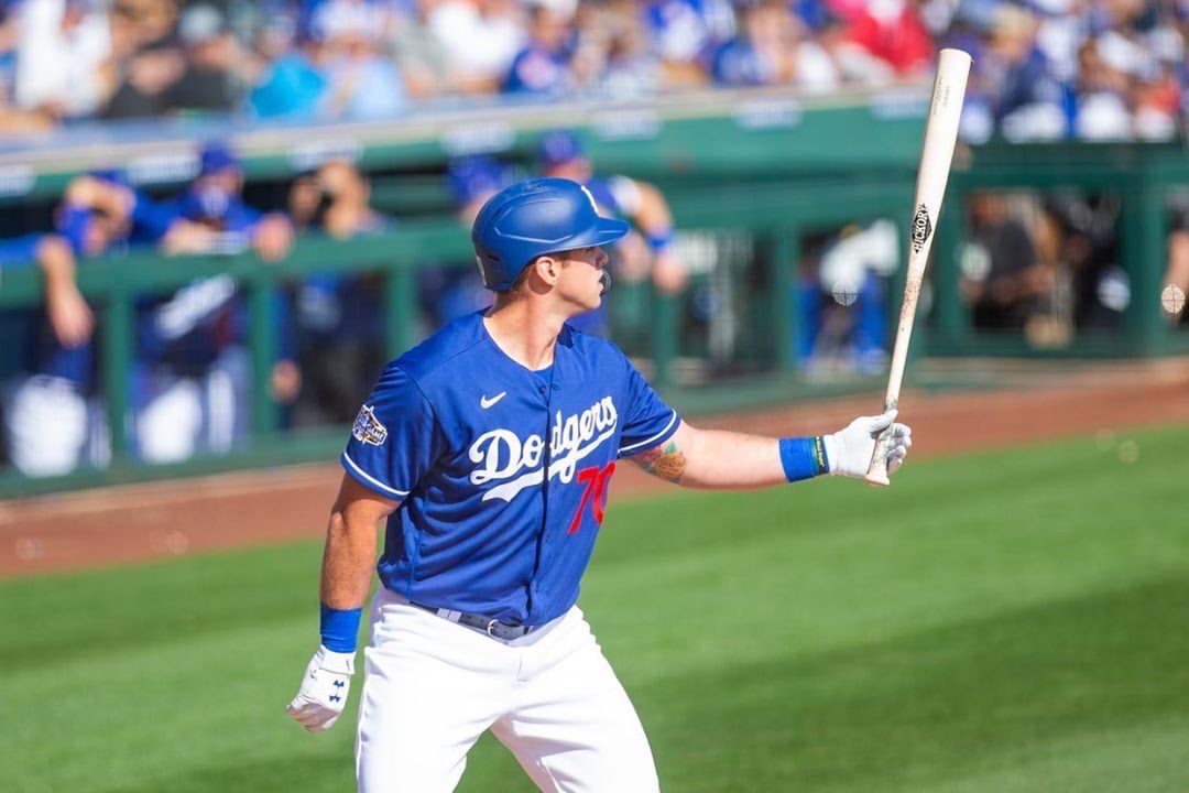 » Baseball Hitting Lessons The Pro's List